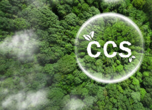 Intensive Course (CCUS) Carbon Capture, Utilisation and Storage