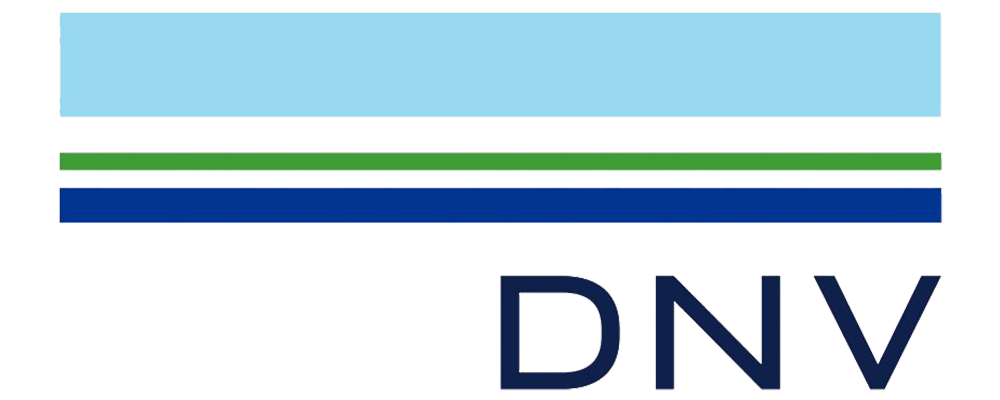 Logo DNV Masterclass Hydrogen Waterstof New Energy Business School
